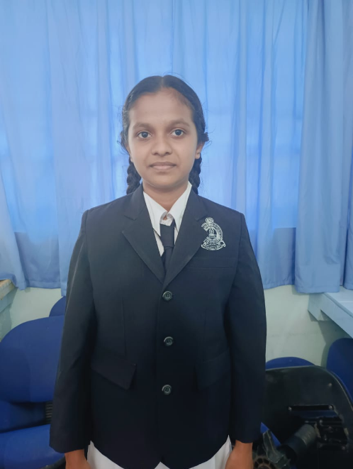 අසෙනි පහන්යා
